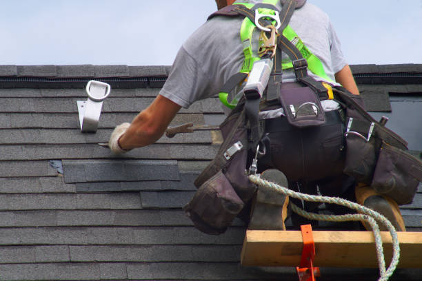 Best Metal Roofing Contractor  in Genoa, OH