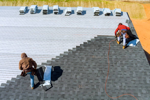 Sealant for Roof in Genoa, OH