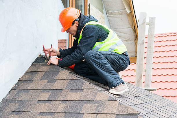 Best Roof Repair Services  in Genoa, OH