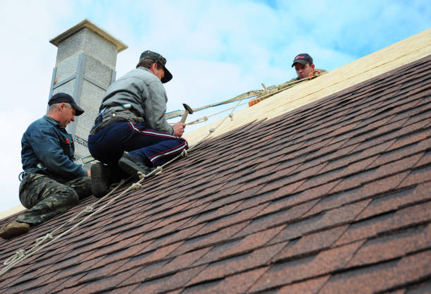 Best Slate Roofing Contractor  in Genoa, OH